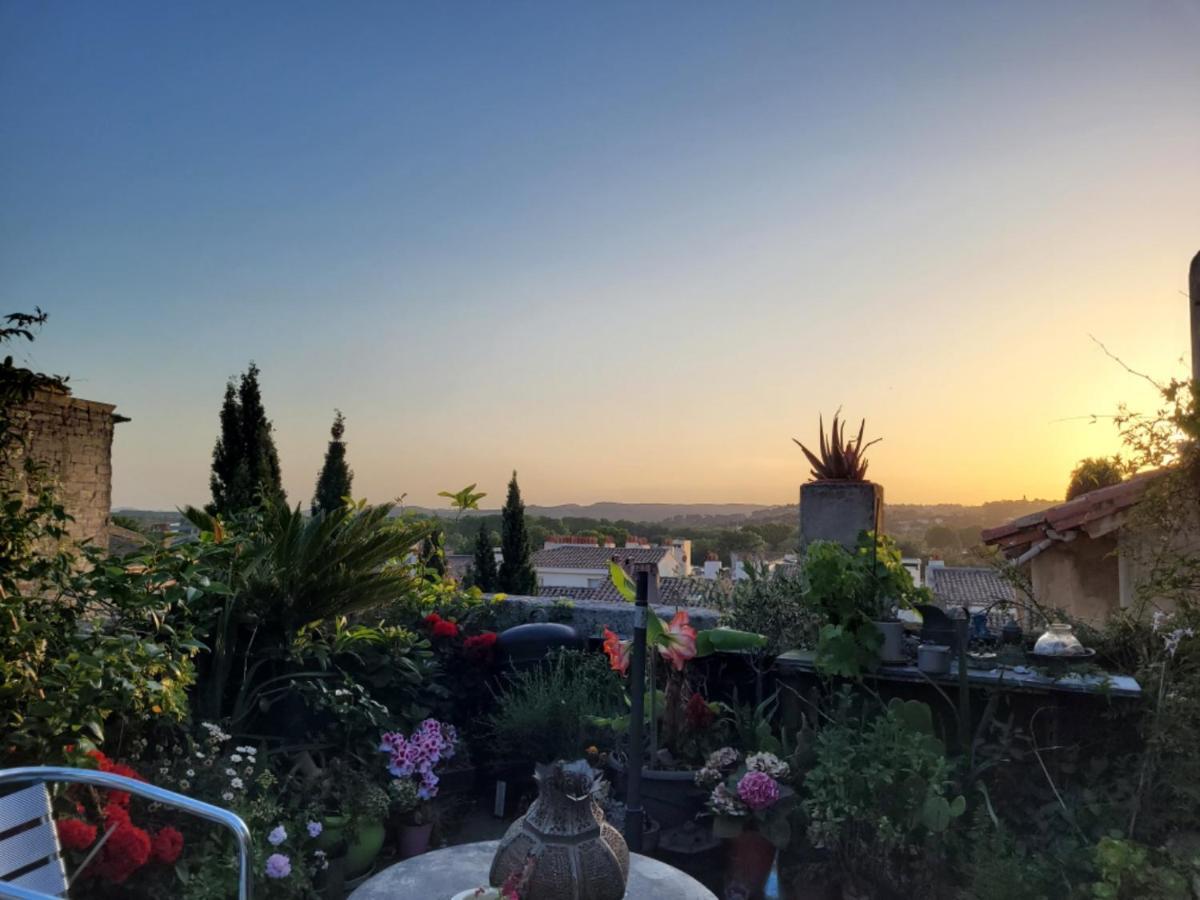 Un Nid Sur Les Toits Face Au Palais Des Papes Appartement Avignon Buitenkant foto