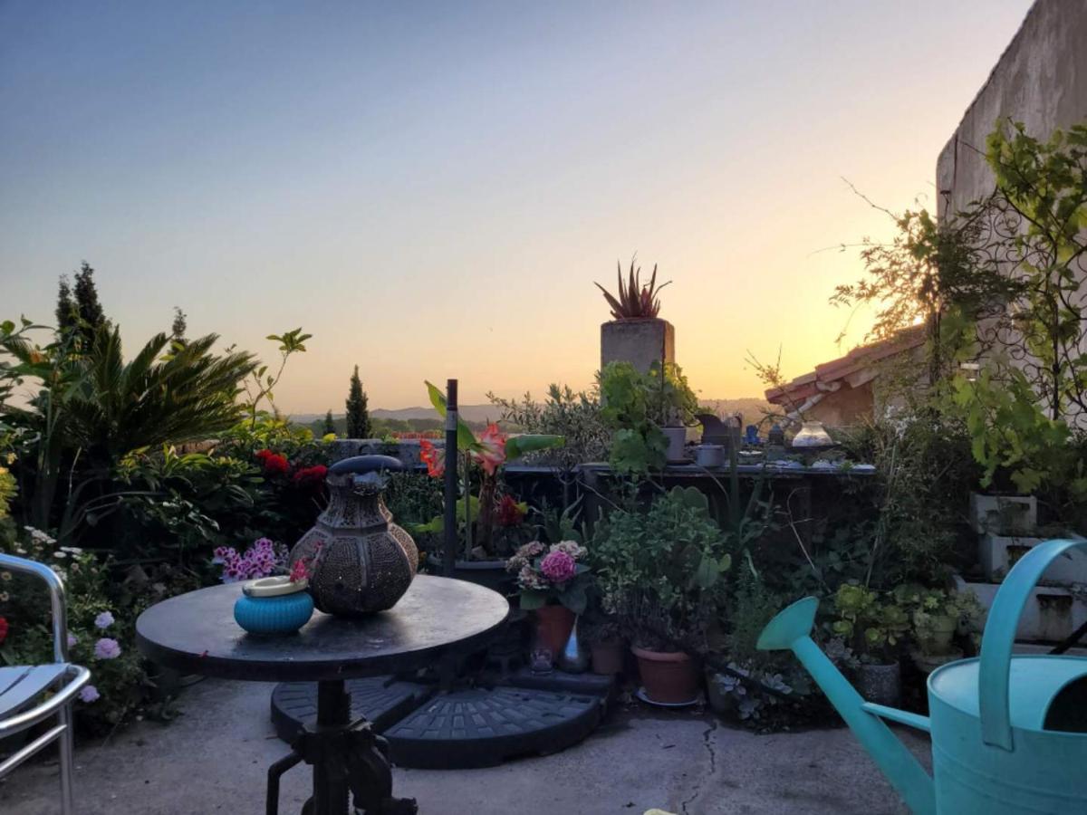 Un Nid Sur Les Toits Face Au Palais Des Papes Appartement Avignon Buitenkant foto