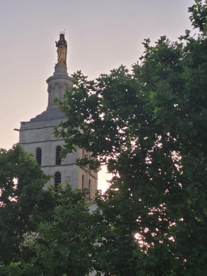 Un Nid Sur Les Toits Face Au Palais Des Papes Appartement Avignon Buitenkant foto