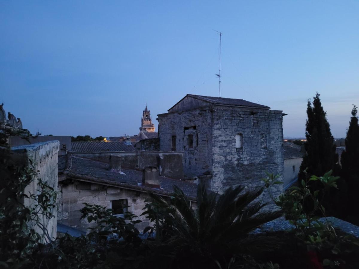 Un Nid Sur Les Toits Face Au Palais Des Papes Appartement Avignon Buitenkant foto