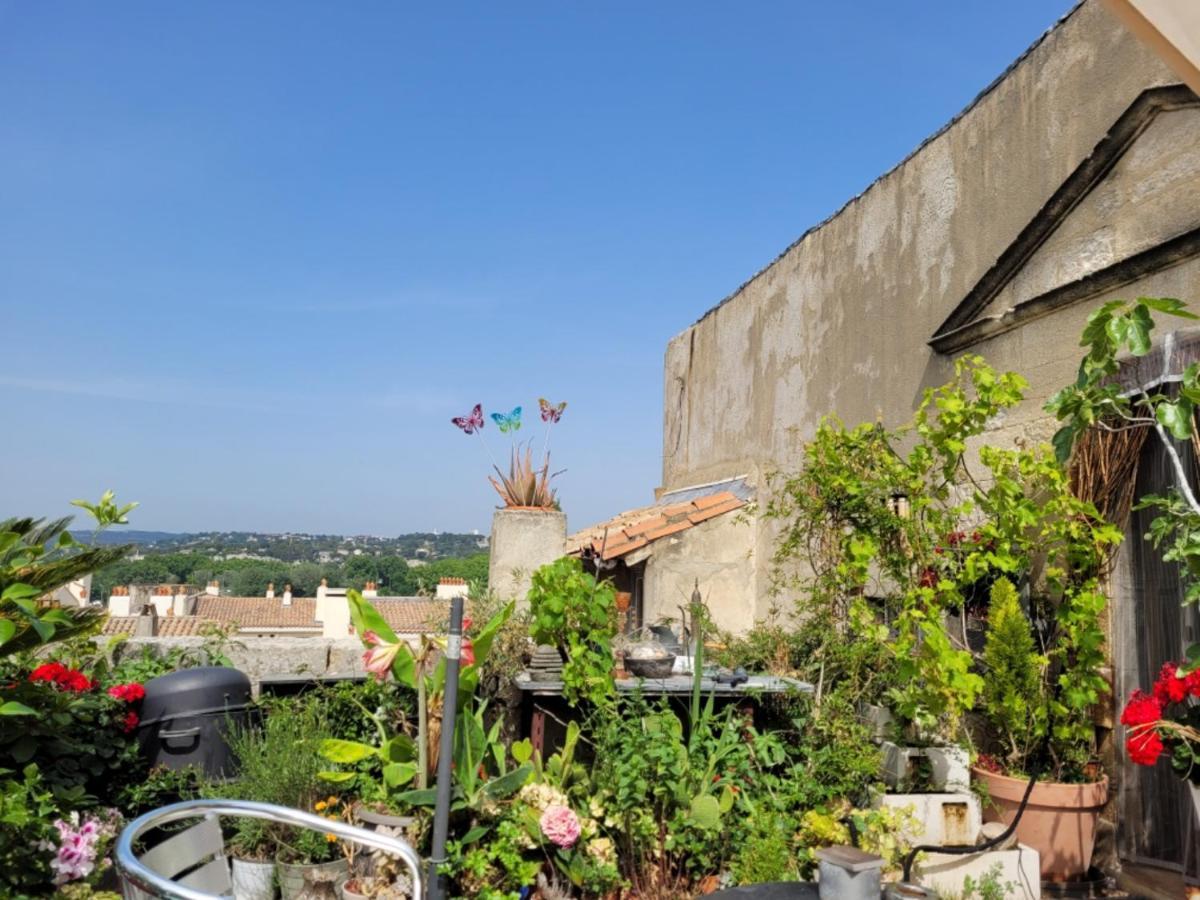Un Nid Sur Les Toits Face Au Palais Des Papes Appartement Avignon Buitenkant foto