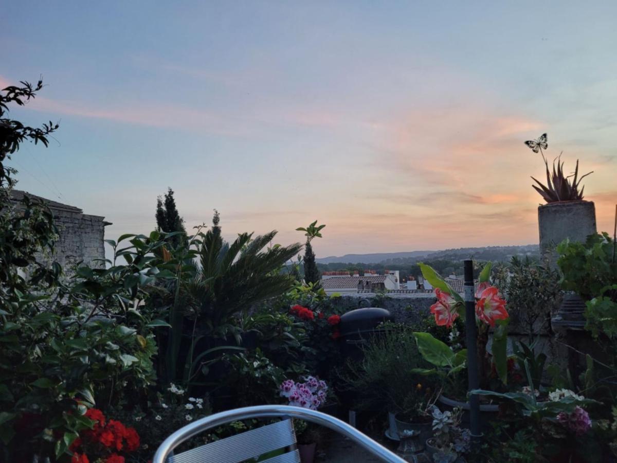 Un Nid Sur Les Toits Face Au Palais Des Papes Appartement Avignon Buitenkant foto