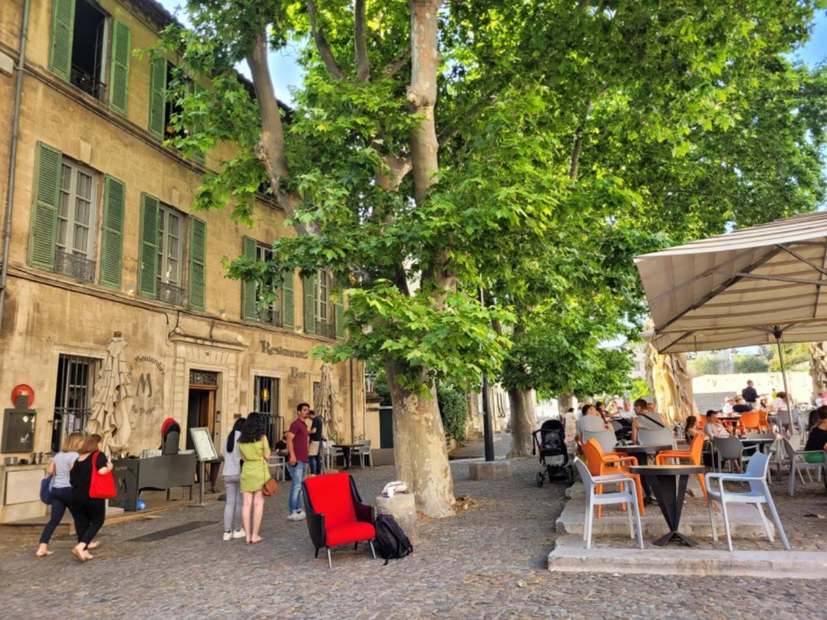 Un Nid Sur Les Toits Face Au Palais Des Papes Appartement Avignon Buitenkant foto