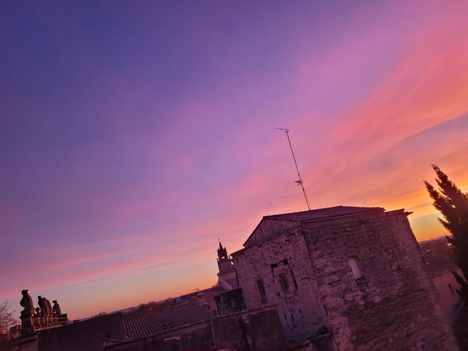 Un Nid Sur Les Toits Face Au Palais Des Papes Appartement Avignon Buitenkant foto