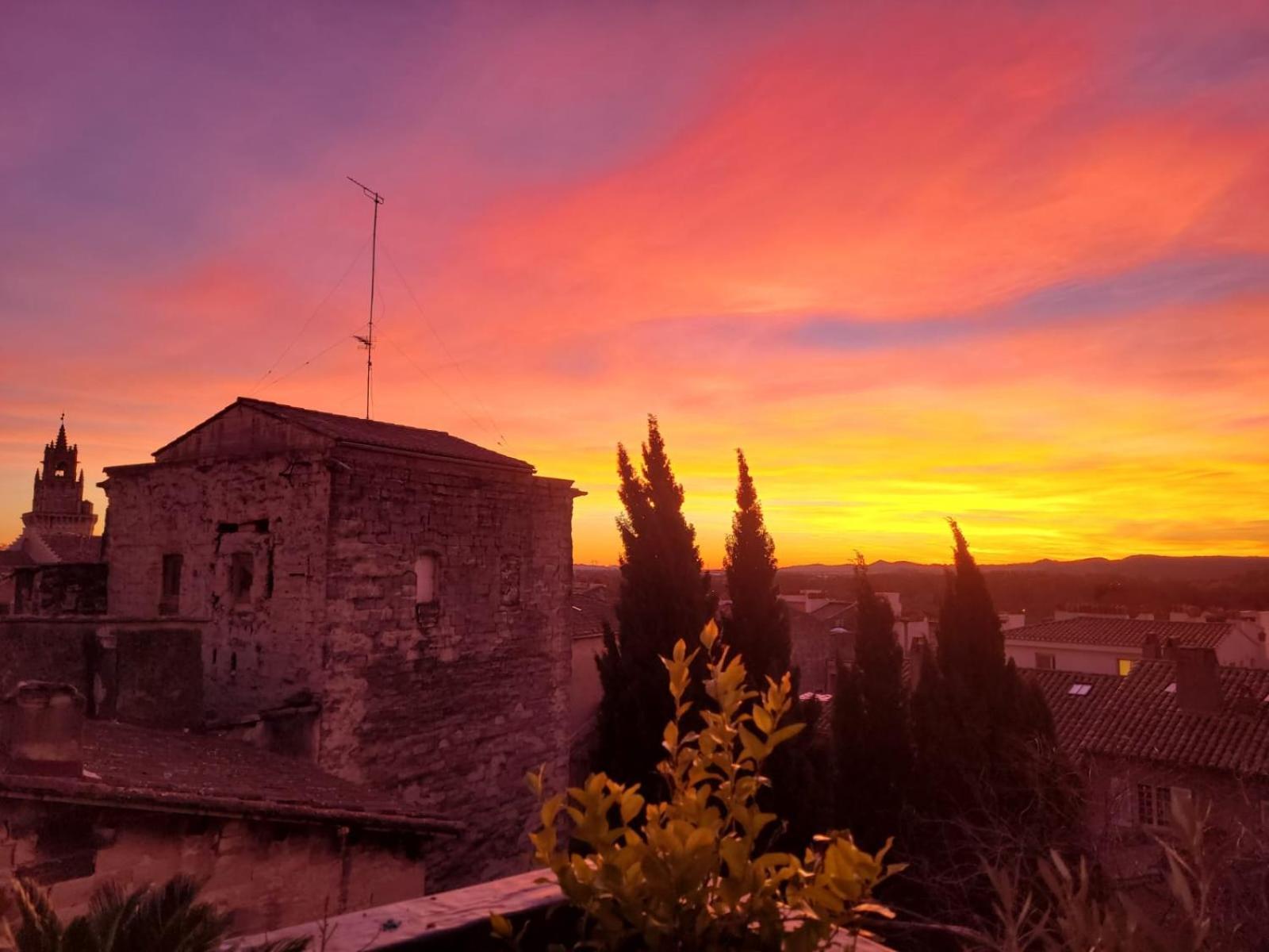 Un Nid Sur Les Toits Face Au Palais Des Papes Appartement Avignon Buitenkant foto