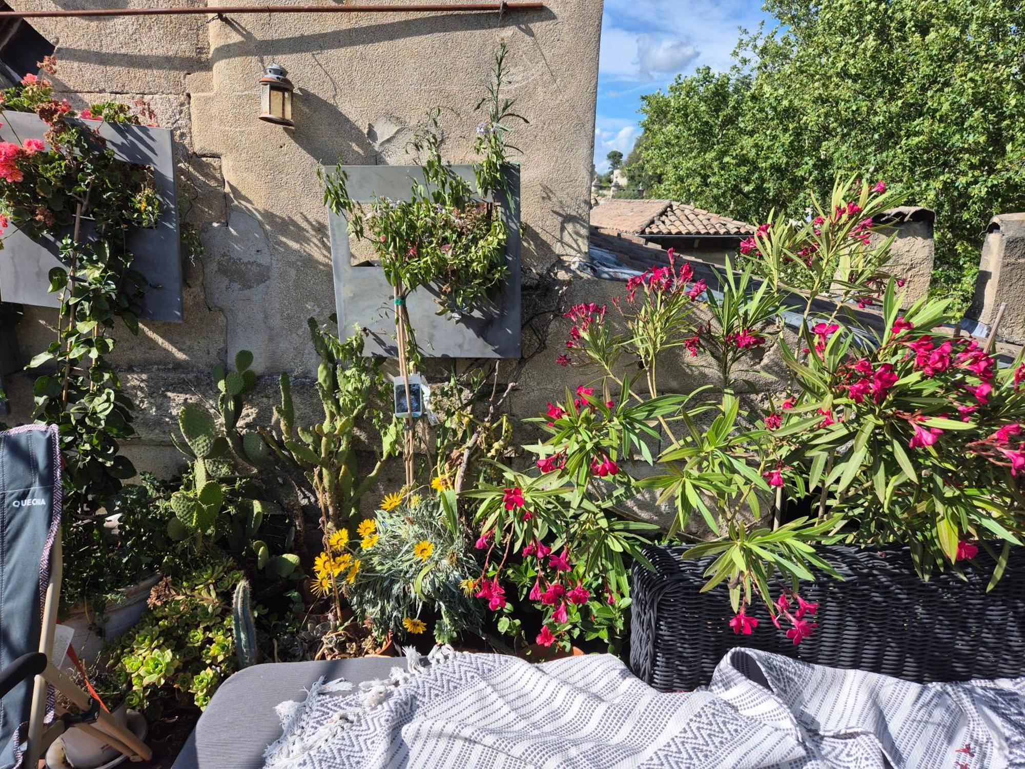 Un Nid Sur Les Toits Face Au Palais Des Papes Appartement Avignon Buitenkant foto